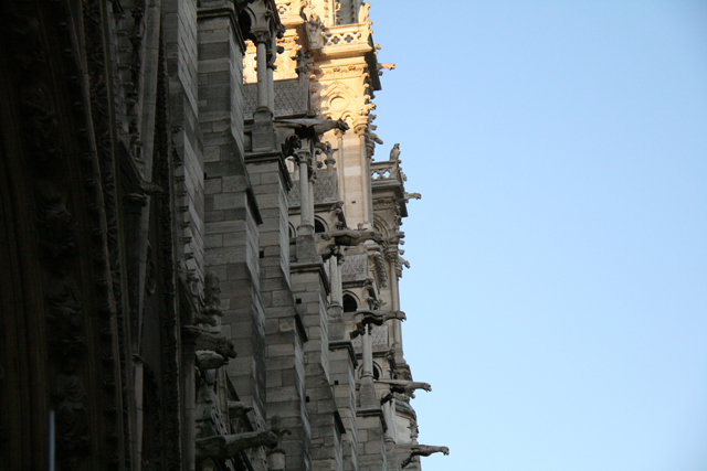 Les gargouilles de Notre-Dame