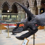 Tricératops