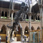 Tyrannosaurus Rex