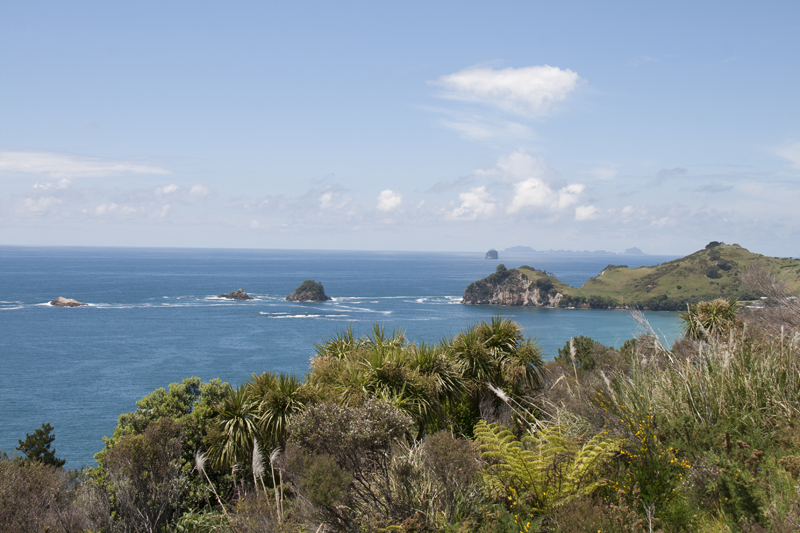 NZ_CATHEDRAL_COVE_03
